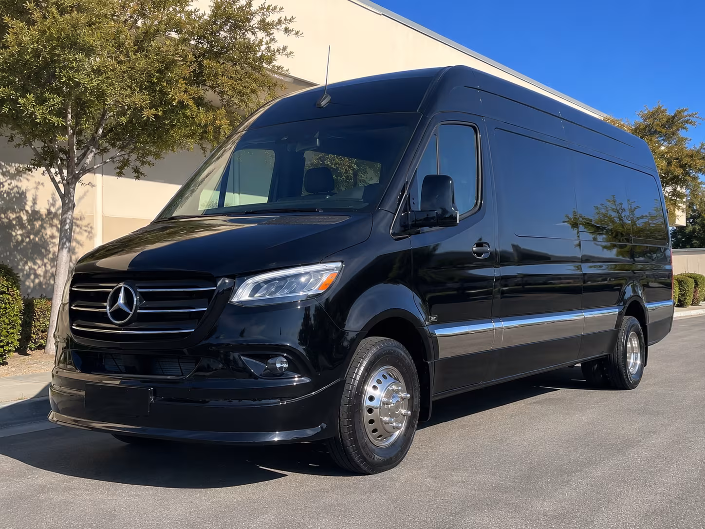 14 Passenger Sprinter Limo